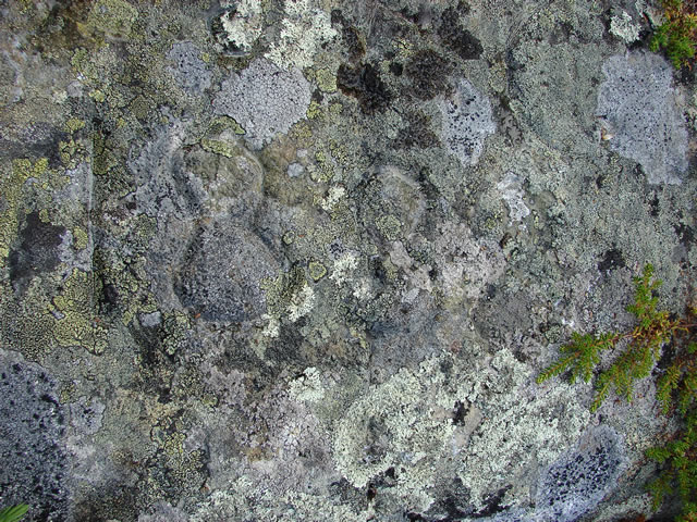 Rock inscription: '1888'
